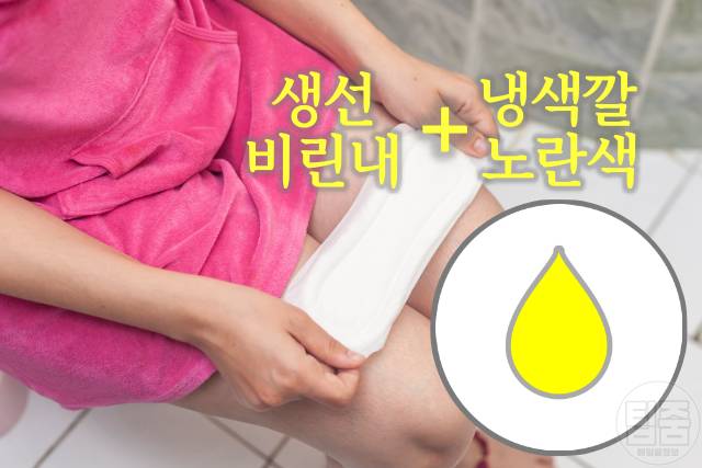냉색깔 노란색 생리냉냄새
