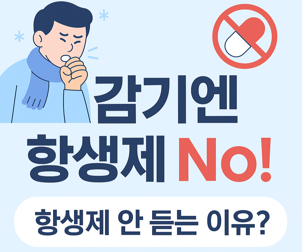 감기 항생제