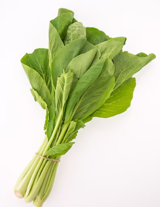 역류성 식도염 14