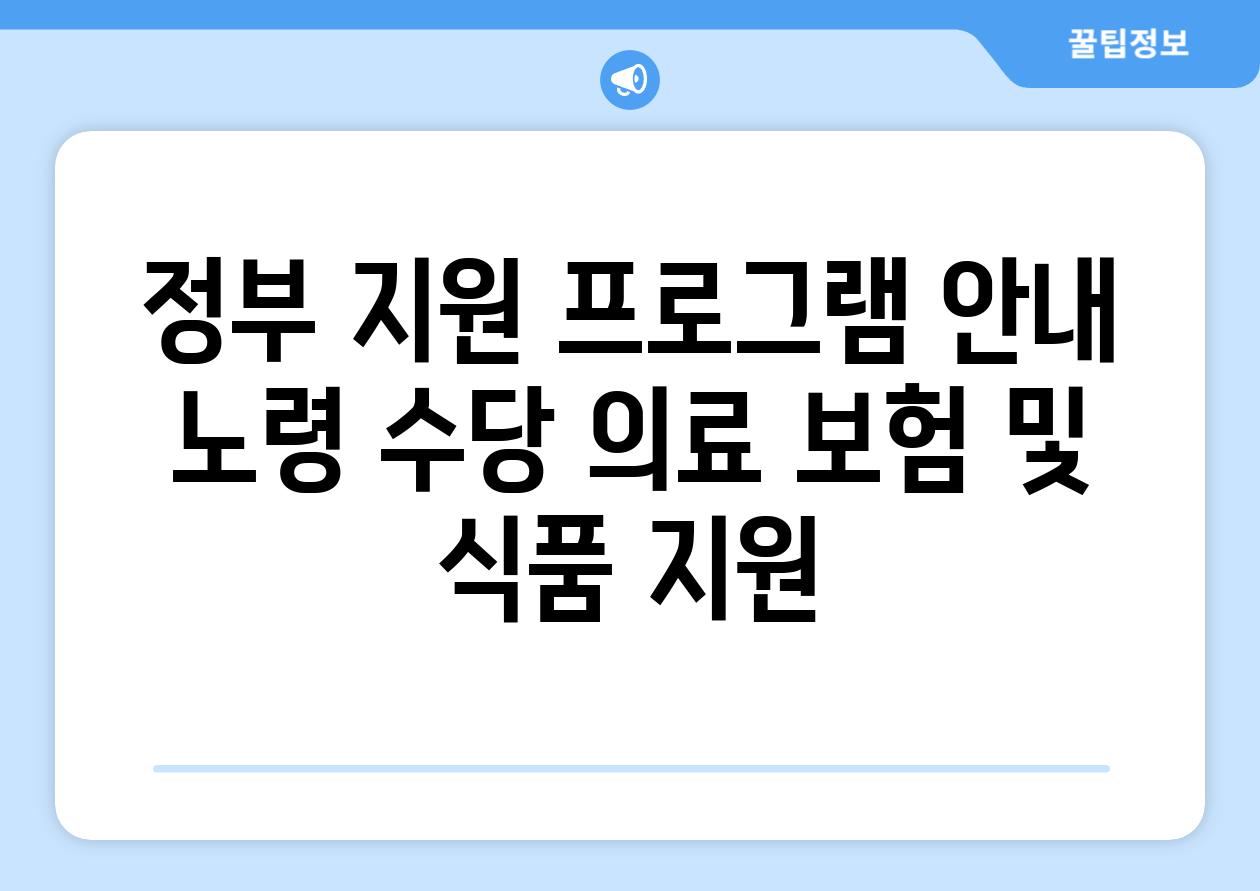 정부 지원 프로그램 안내 노령 수당 의료 보험 및 식품 지원