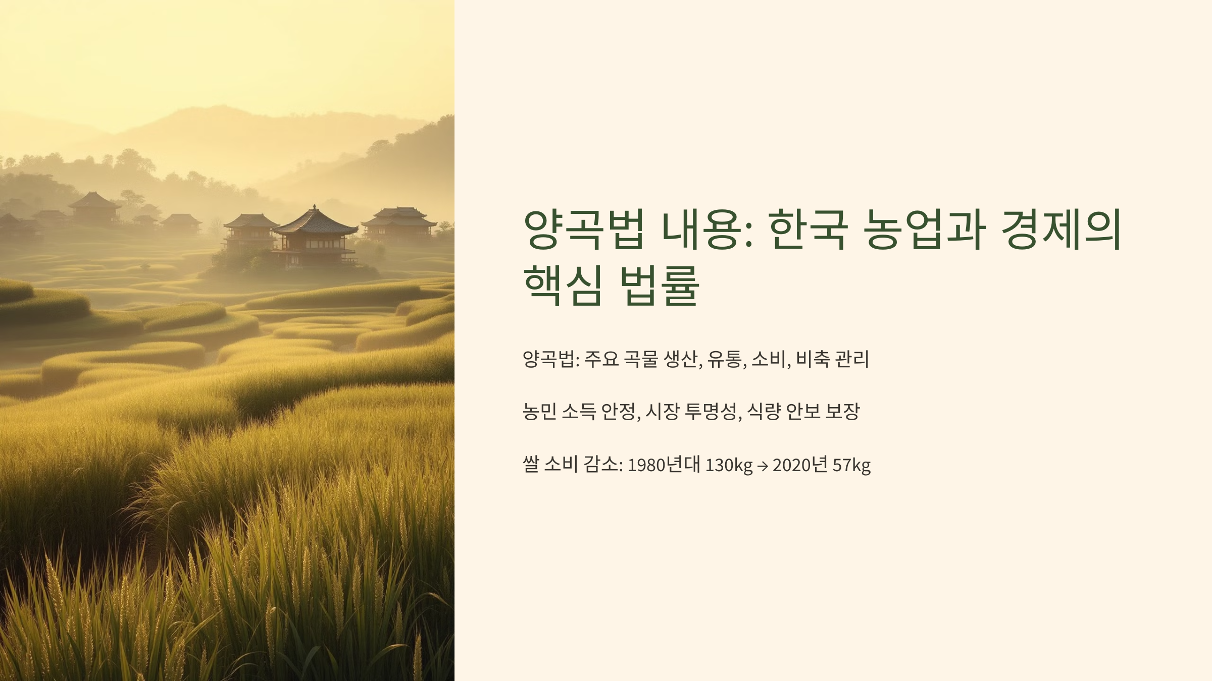 양곡법 내용 한국 농업과 경제의 핵심 법률