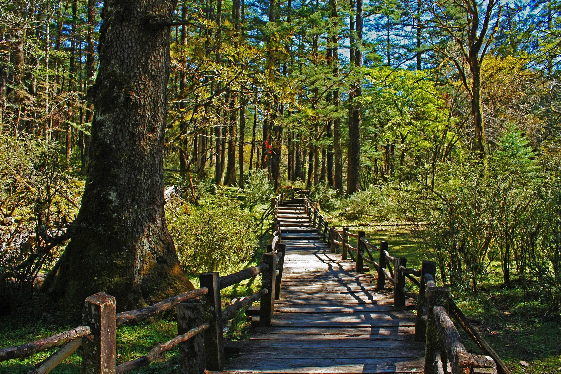 2026년 공무원봉급 인상률