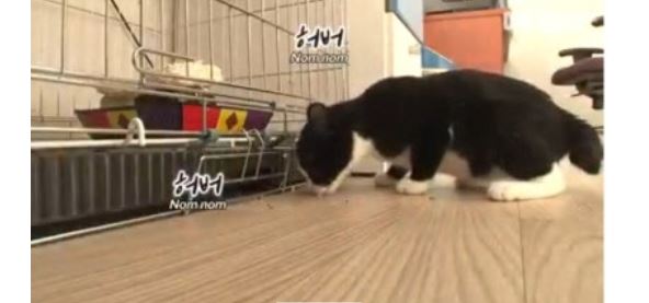 허버허버란
