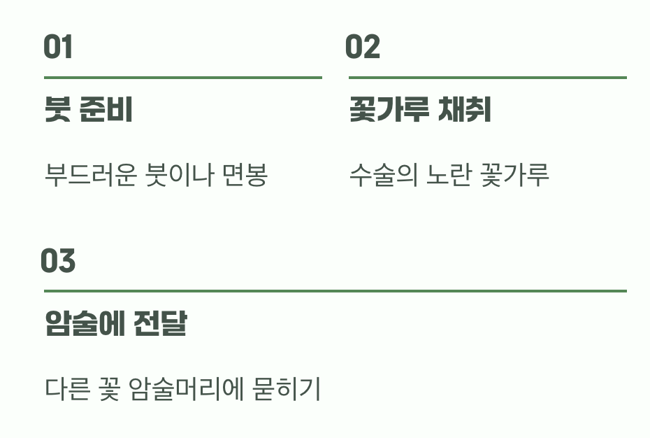 열매를 위한 약속, '인공수분'