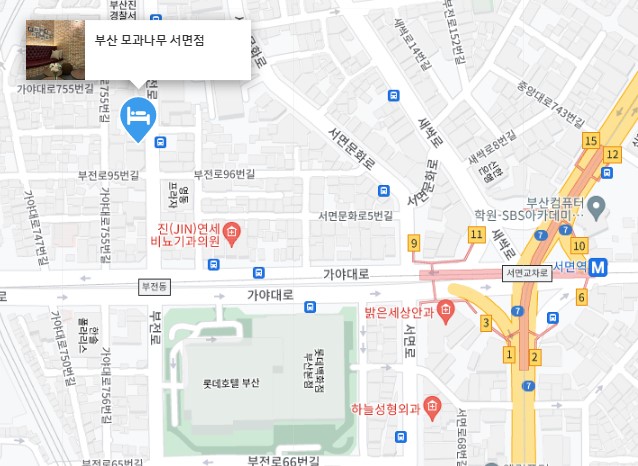 부산 모과나무 서면점