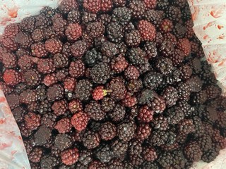 복분자 효능 여자