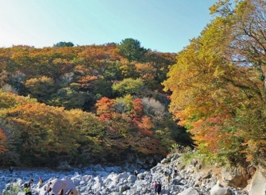 제주도 11월 가볼만한곳