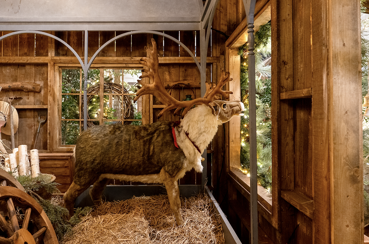 더현대 서울 크리스마스 빌리지 예약