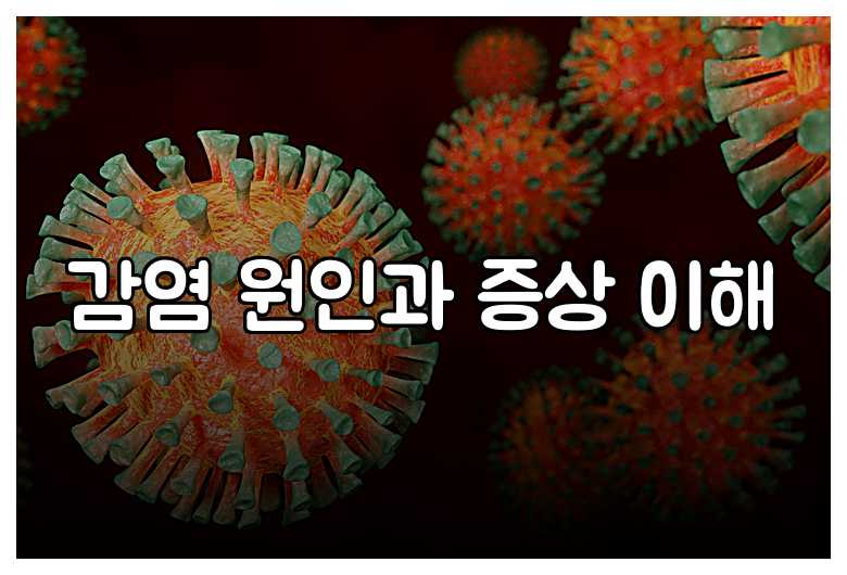 감염 원인과 증상 이해