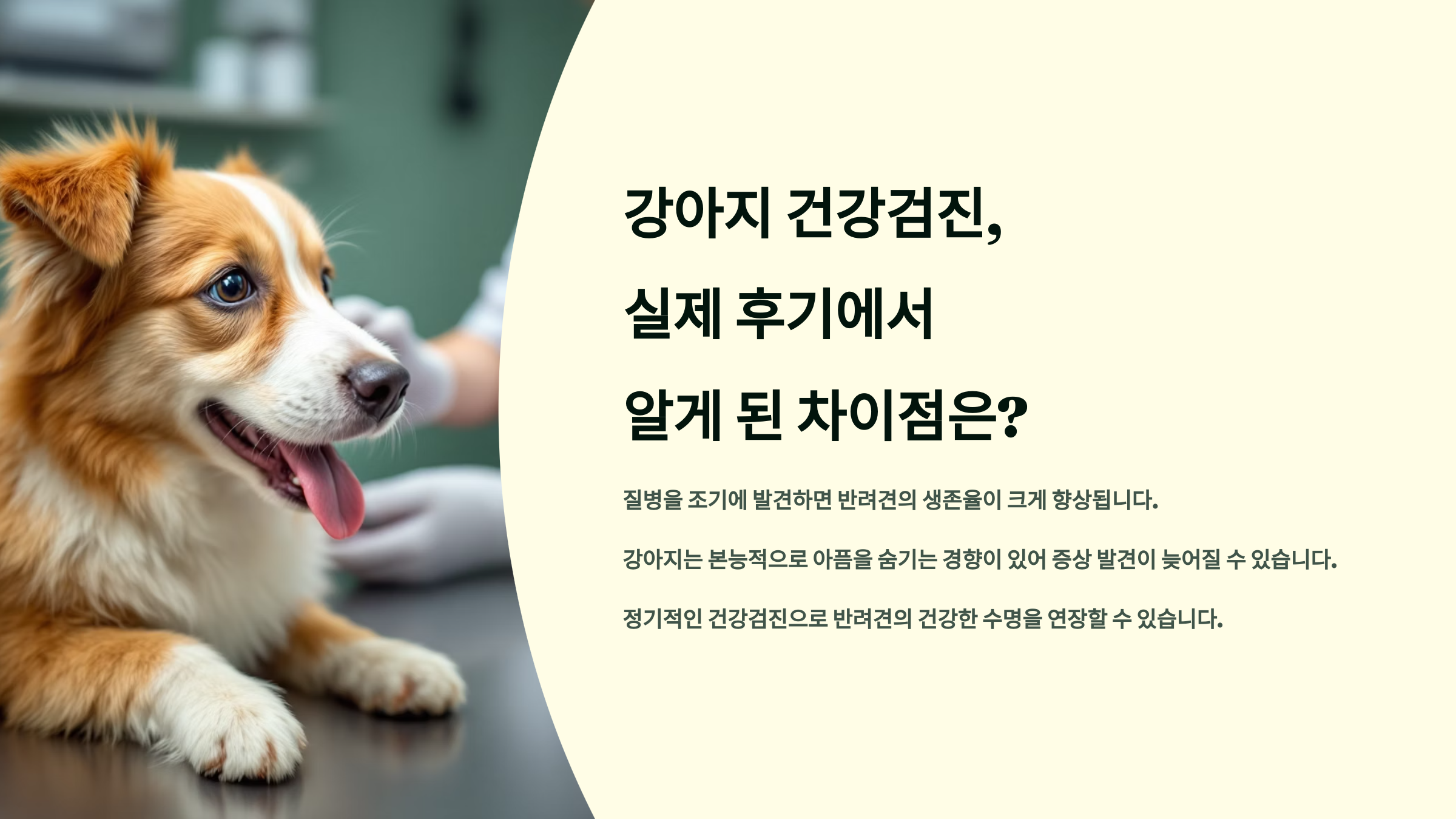강아지 건강검진, 실제 후기에서 알게 된 차이점은?