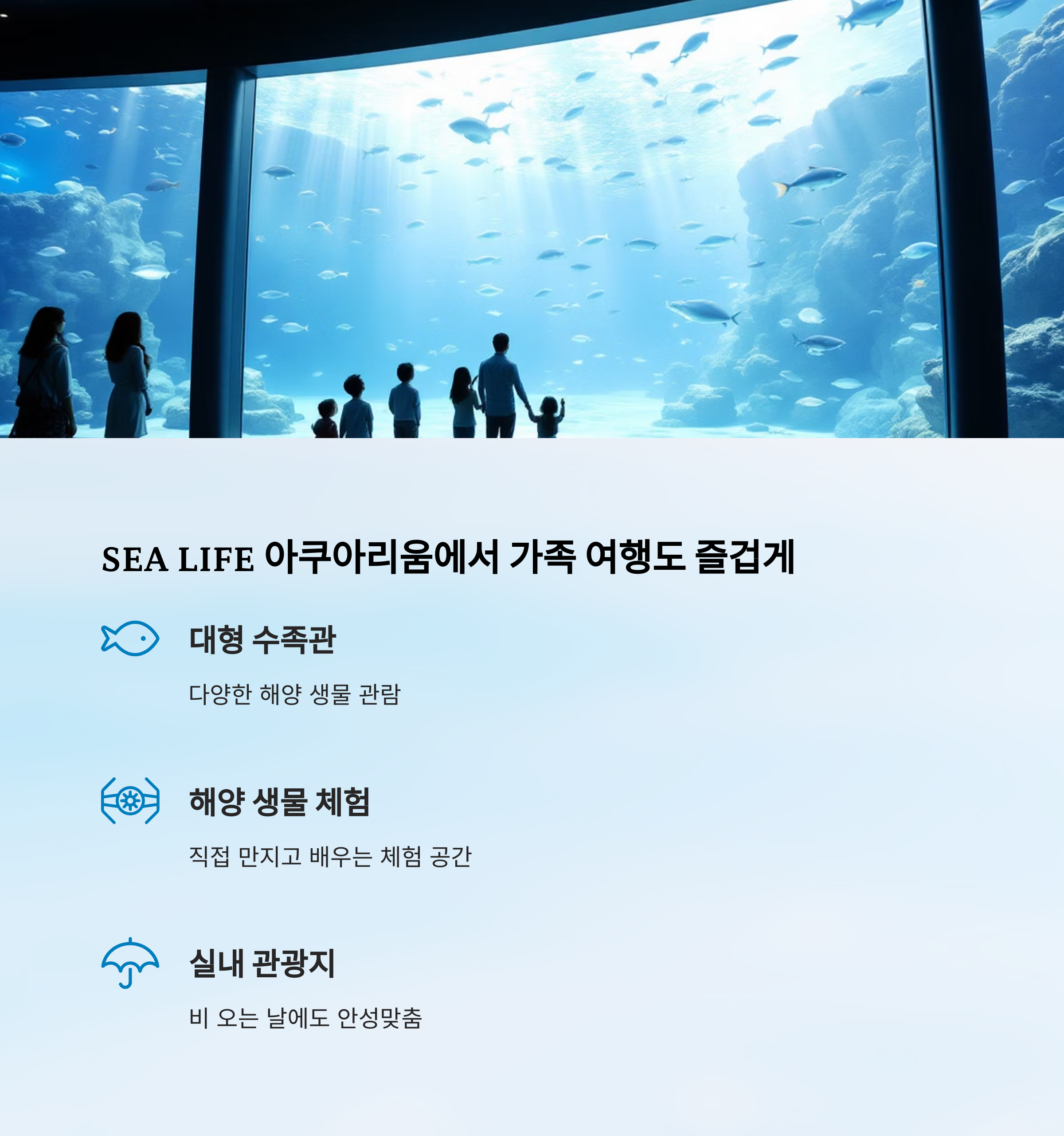 SEA LIFE 아쿠아리움에서 가족 여행도 즐겁게