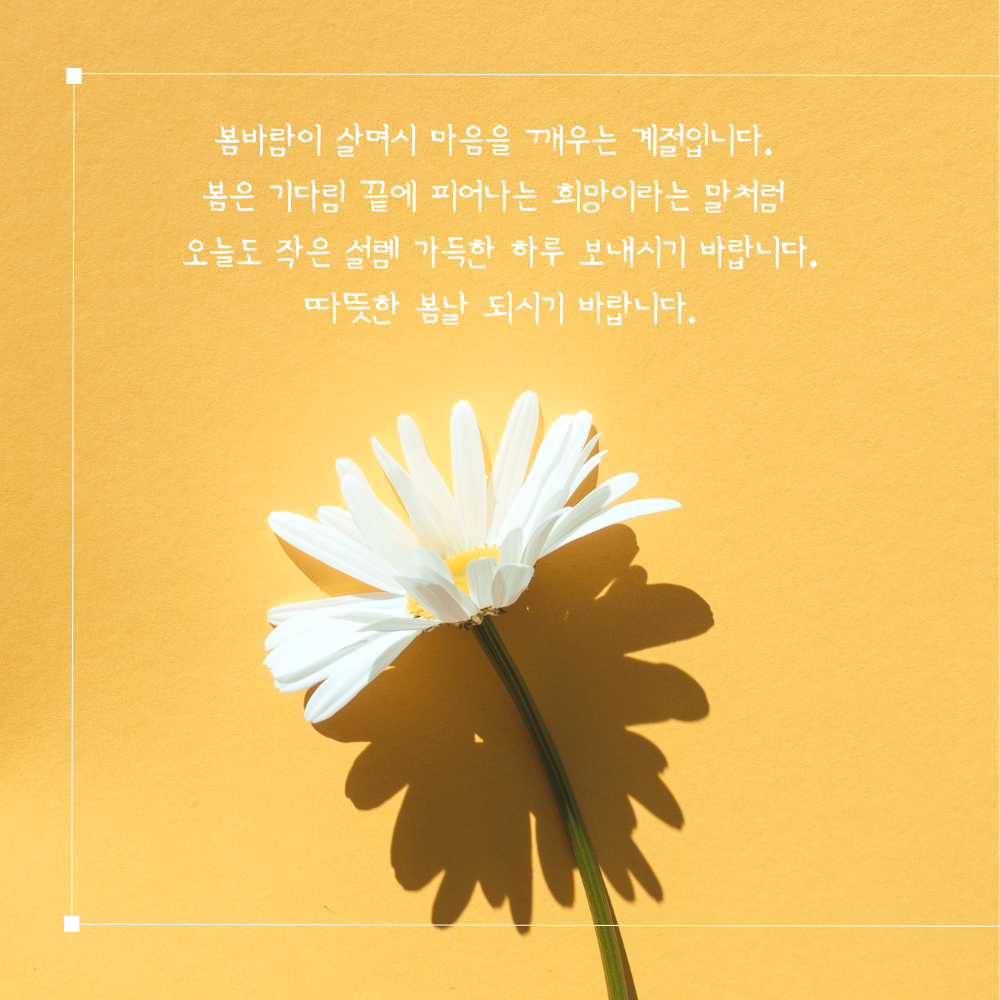 춘분 인사말 봄 안부 인사글귀 좋은 3월 인사이미지 문구 모음