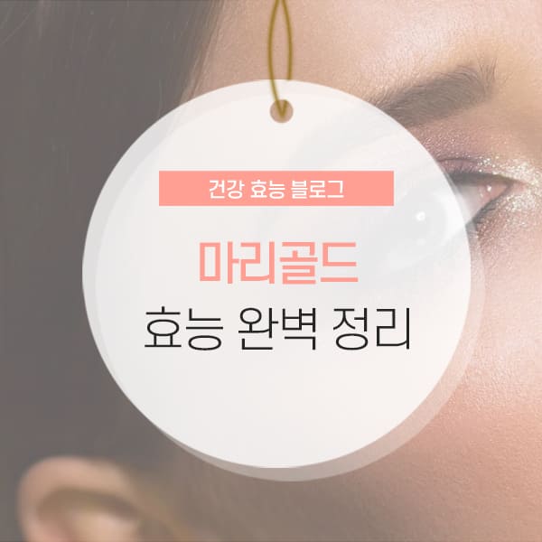 마리골드 효능 소개 콘텐츠