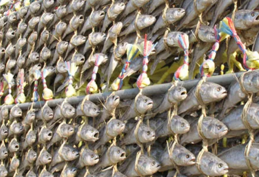 최화정이 픽한 광주 마루 보리굴비 가격, 주문방법 및 위치 최화정 유튜브 보기 보리굴비 조기 차이 알아보기