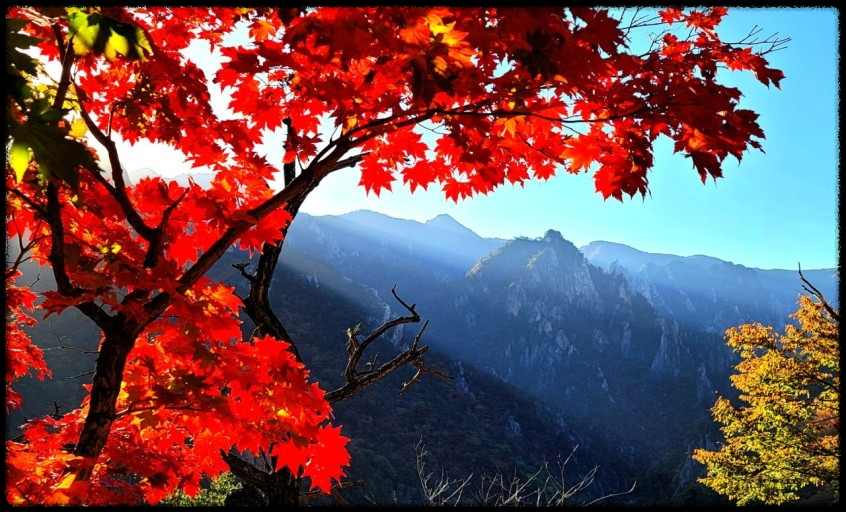 2024 가을&amp;#44; 국내 단풍 명소 추천: 절정 시기와 여행 팁까지 완벽 가이드