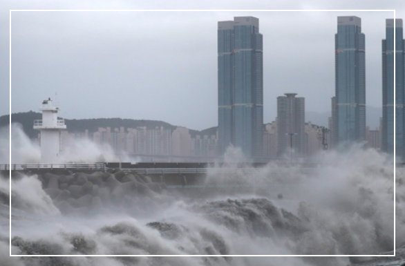 3년 전 태풍 하이선 피해상황