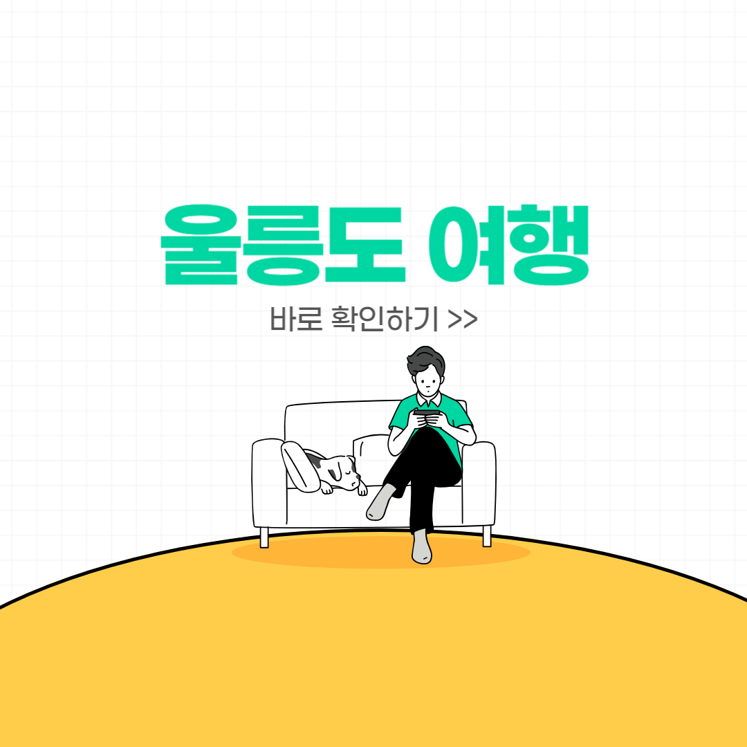 울릉도 버스 시간표, 렌터카, 전기자동차 충전
