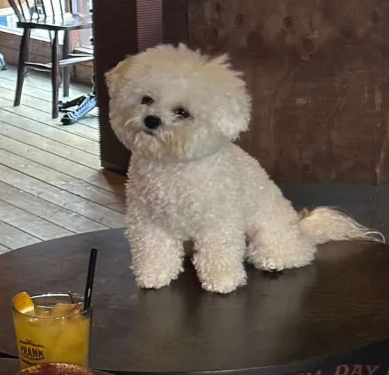 프랭크커핀바 익산점