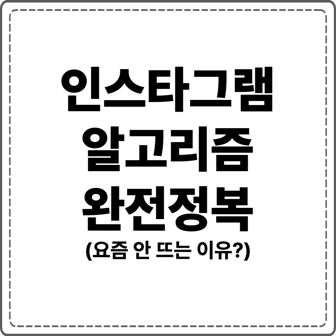인스타 완정정복 대표