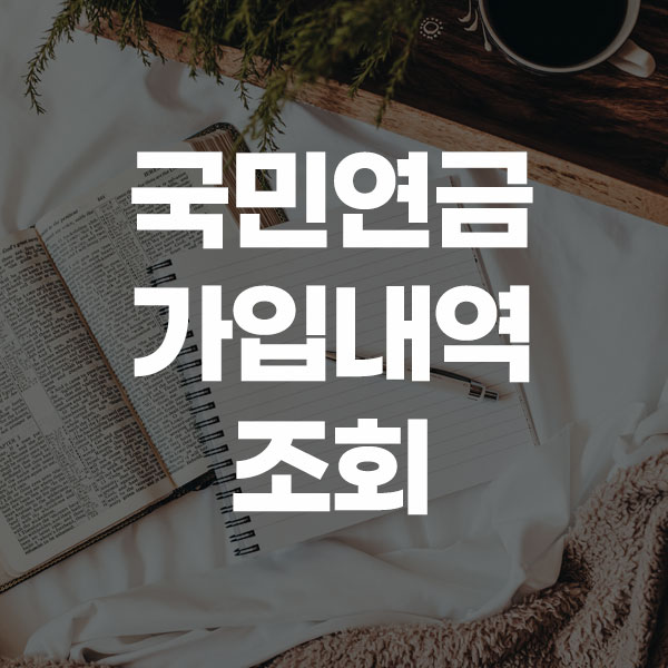 국민연금 가입내역 조회