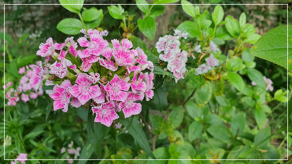 산여울 펜션14