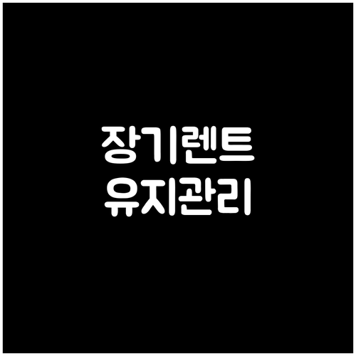 장기렌트 유지관리: 렌트료, 차량 관..