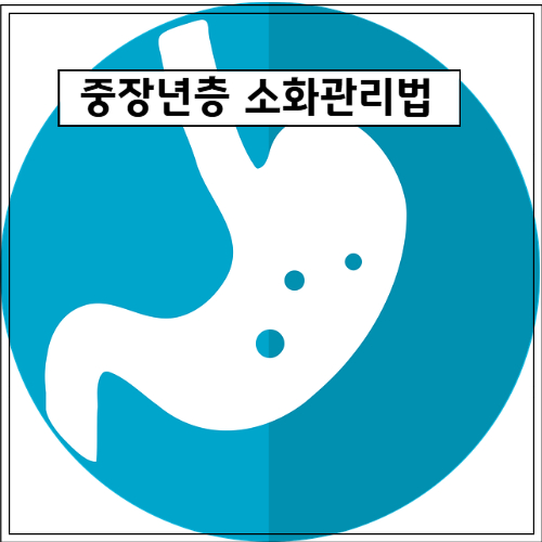 중장년층 소화관리법(위)
