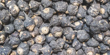 블랙마카 효능&amp;#44; 남성&amp;#44; 여성 건강&amp;#44; 면역력 강화 총 정리 (2025 최신)