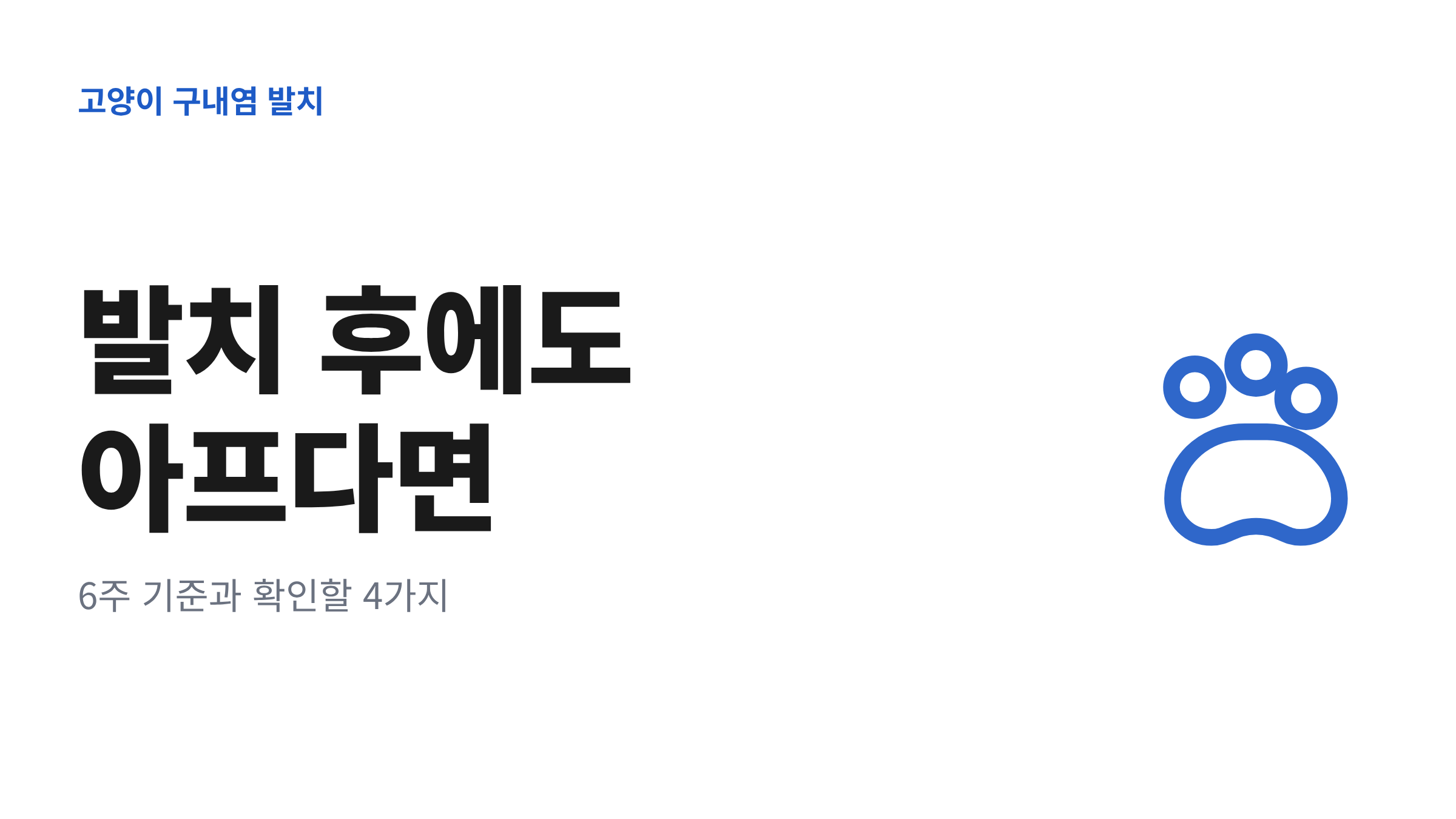 발치 후에도 입안 통증이 남은 고양이 구내염의 회복 기준을 정리한 대표 이미지
