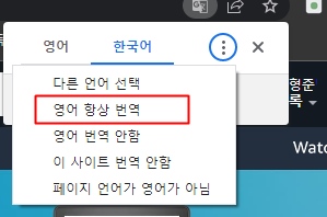 자동 번역기능 활성화