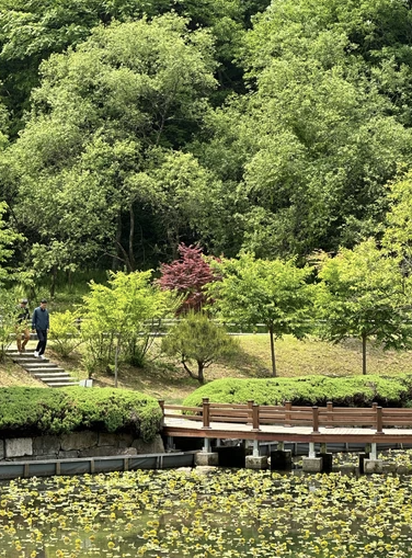 강원도 홍천 여행지 이미지