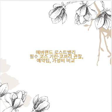 에버랜드 로스트밸리 필수 코스 기린·코끼리 관찰, 예약팁, 가성비 비교