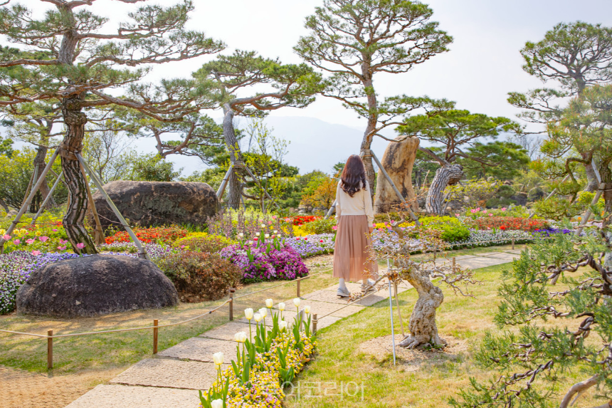 특색 있고 아름다운 민간 정원 30선 추천 여행 - 15. 구례 반야원 &amp; 플라타너스 