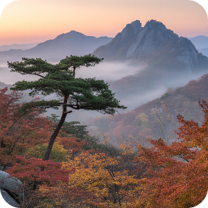서울·수도권 당일치기 단풍 여행 명소 이미지