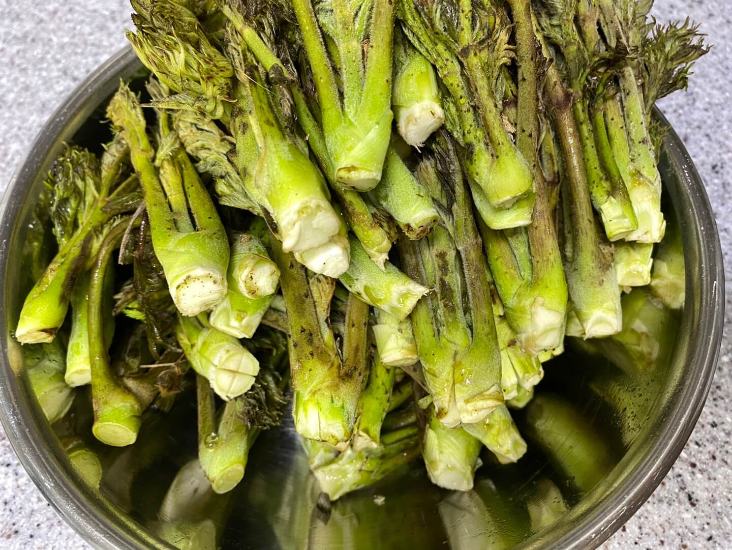 두릅 손질 보관법