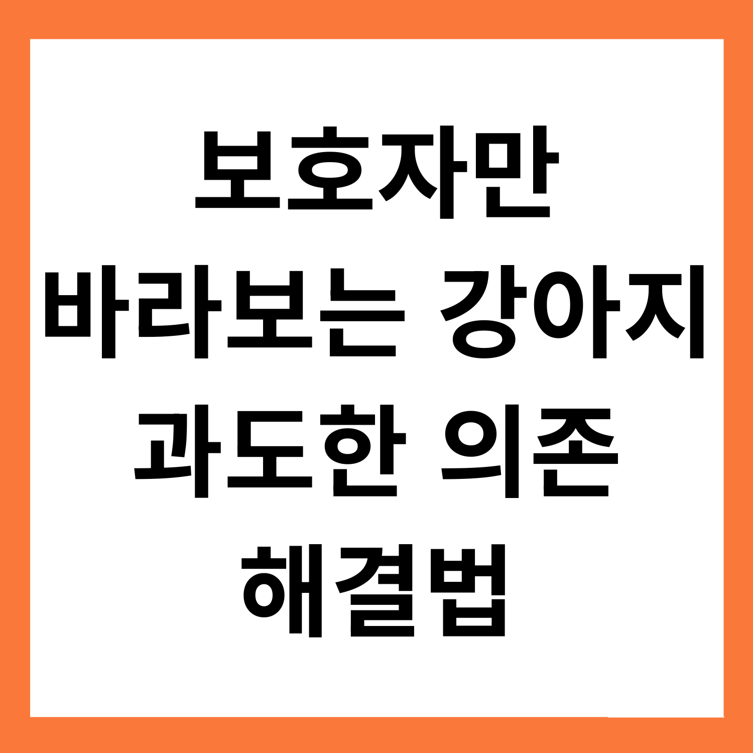 강아지가 보호자만 쳐다봐요&hellip; 과도한 의존 문제와 해결법