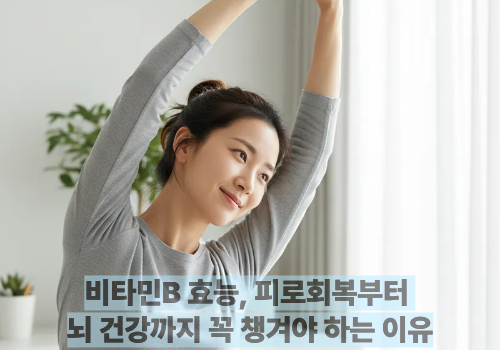 비타민B 효능, 피로회복부터 뇌 건강까지 꼭 챙겨야 하는 이유