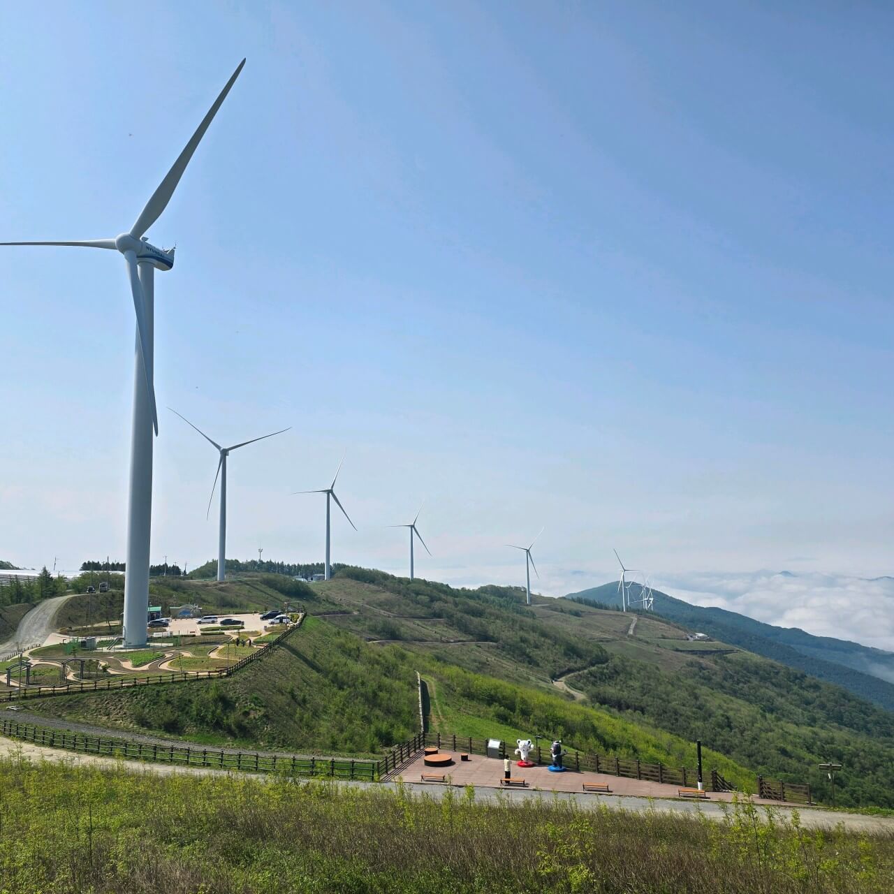 생생정보 2315회 장PD의 AI 여행기 평창여행 황태구이, 황태해장국 맛집 오대산서울식당, 평창올림픽시장, 메밀촌 수수부꾸미전문, 육마지기, 대관령 삼양라운드힐 (양몰이 개 공연)