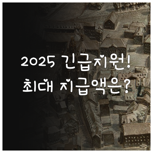 2025년 긴급복지 생계지원 대상자 ..