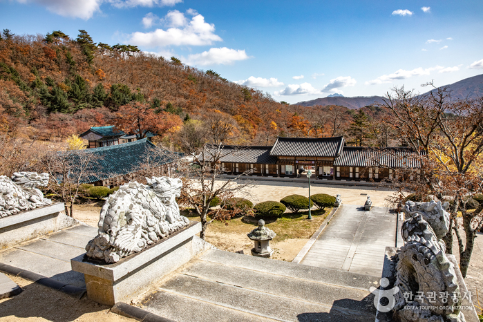 김천 가볼만한곳 베스트10