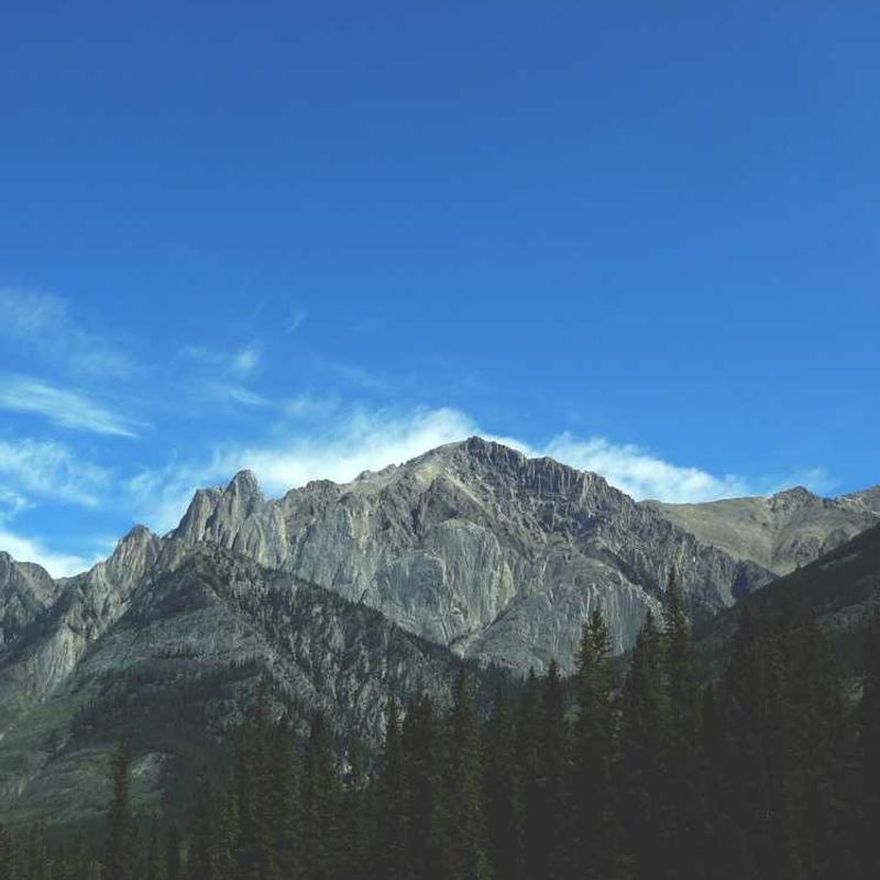 운전면허 갱신-비용