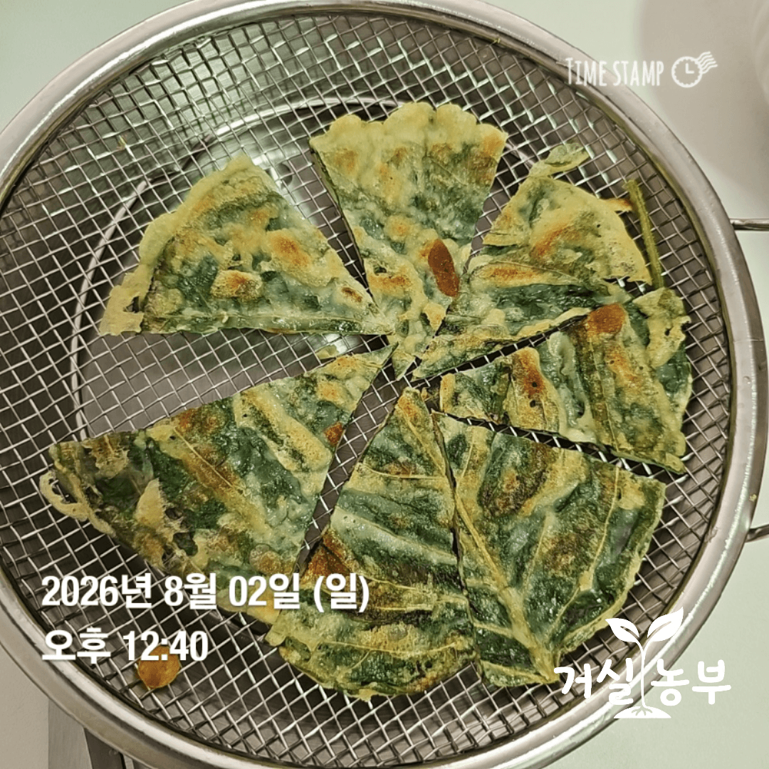 큰 깻잎 한 장으로 만든 미니 피자 크기의 깻잎전