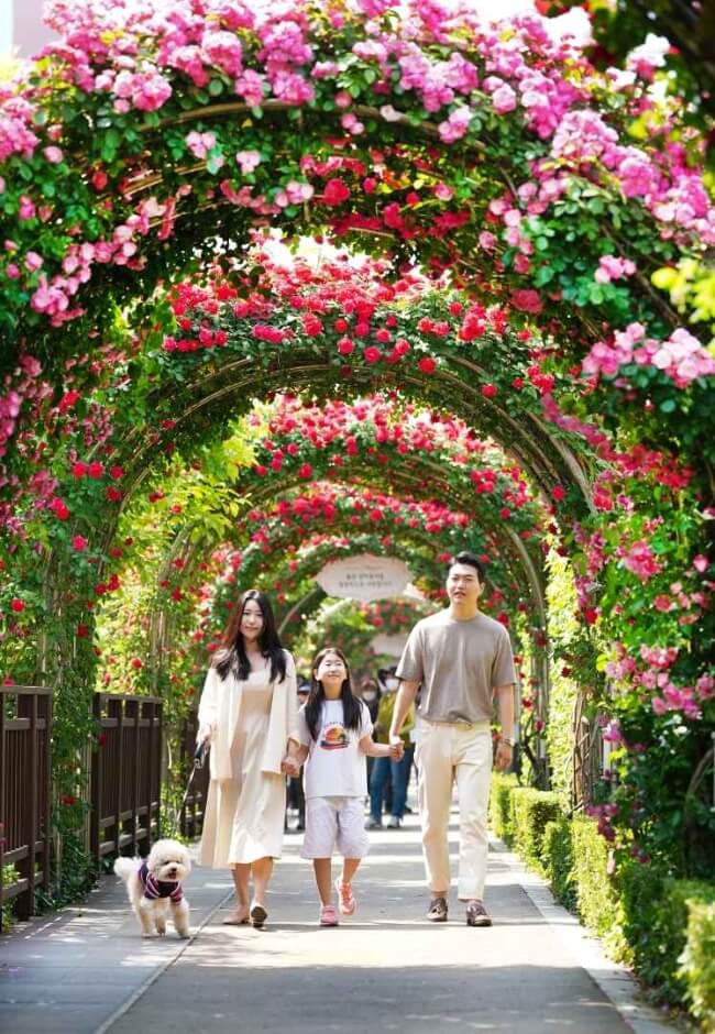 중랑서울장미축제