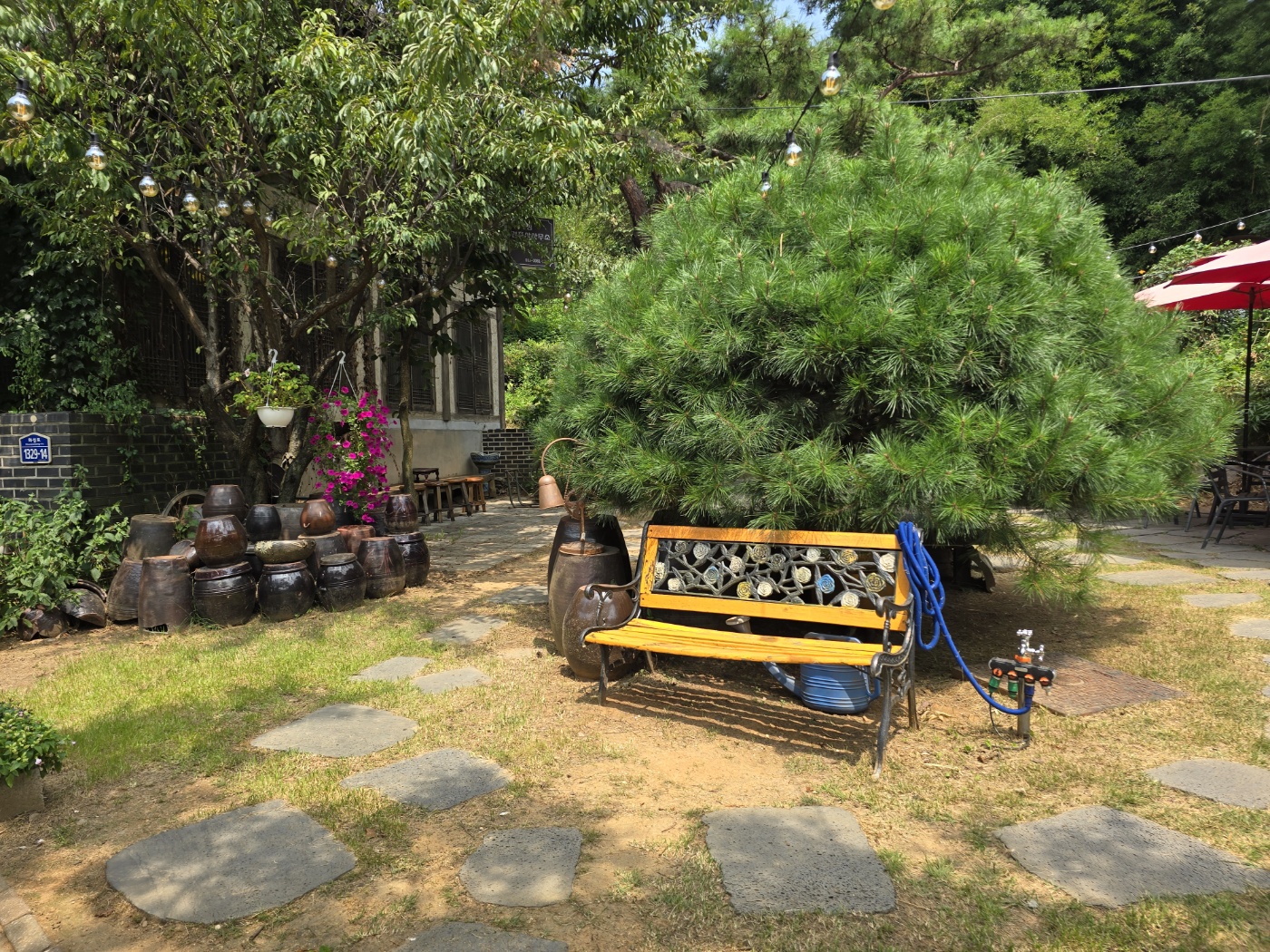 손커피연구소의 정원