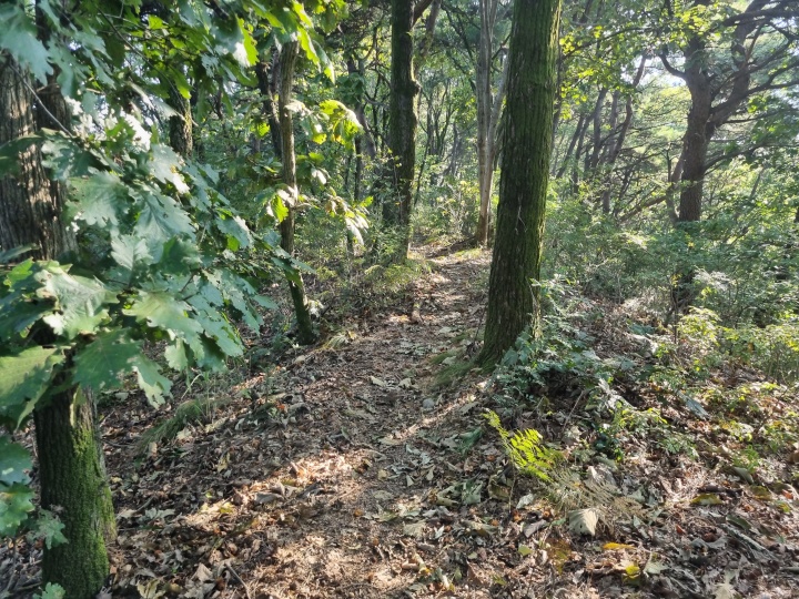 능선길