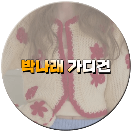 구해줘 홈즈 278회 박나래 가디건