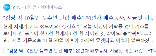 김장 배추 시세 관련 기사