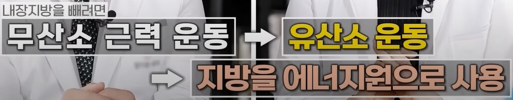 내장지방빼기