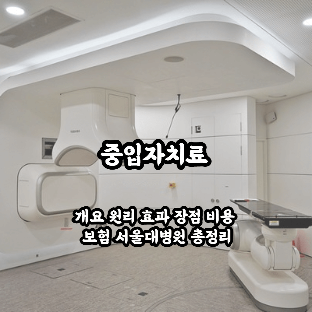 중입자치료 개요 원리 효과 장점 비용 보험 서울대병원 총정리