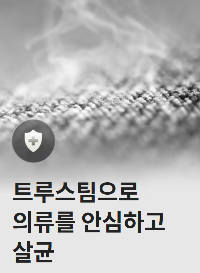 트루스팀